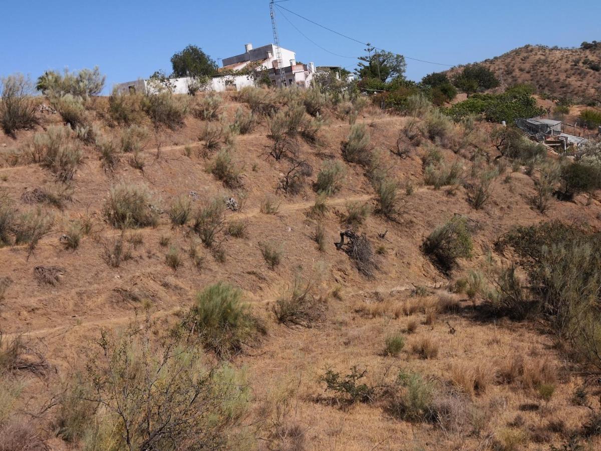 Finca La Pimienta 匹扎拉 外观 照片